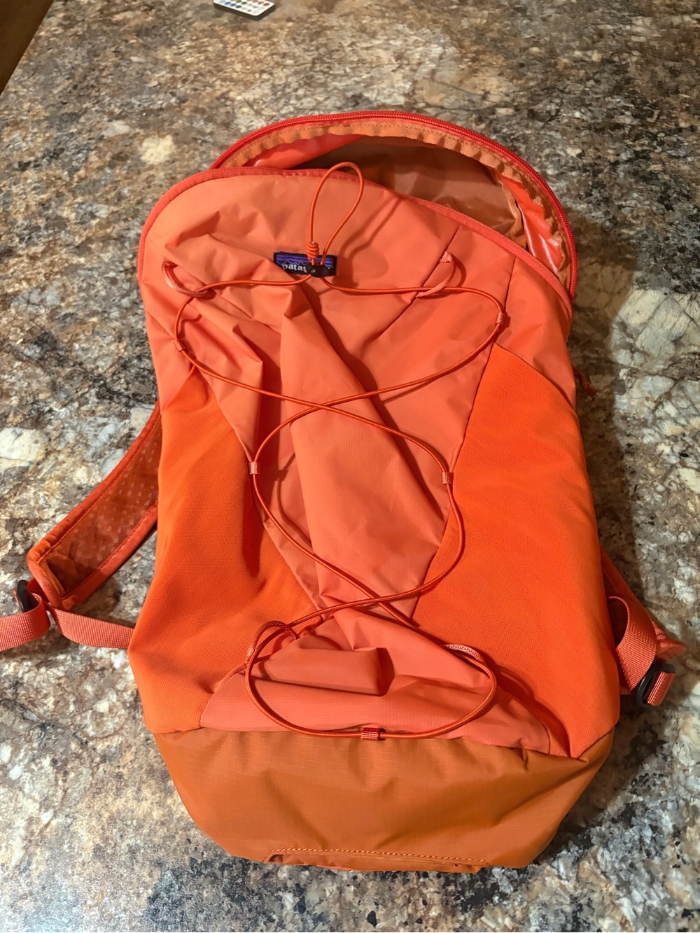 Patagonia Bright Orange Men’s Lightweight Daypack Backpack